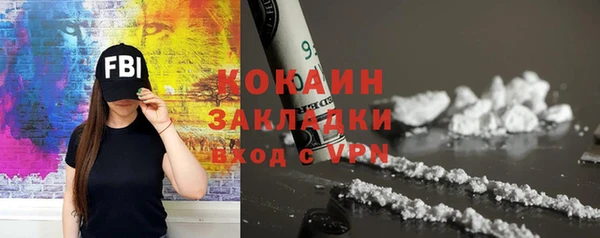 прущие грибы Михайловка