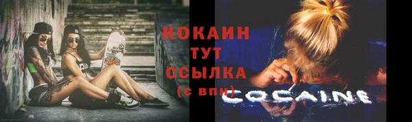 прущие грибы Михайловка