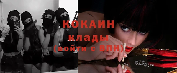 ПСИЛОЦИБИНОВЫЕ ГРИБЫ Надым