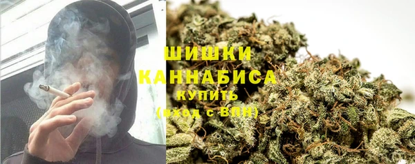 прущие грибы Михайловка