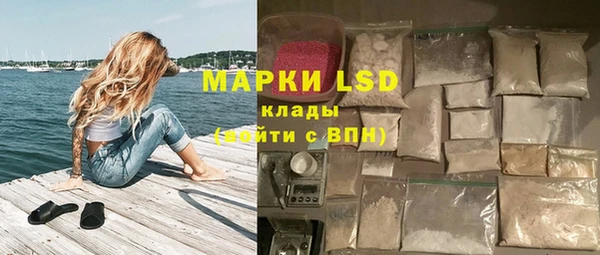 прущие грибы Михайловка
