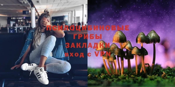 ПСИЛОЦИБИНОВЫЕ ГРИБЫ Надым
