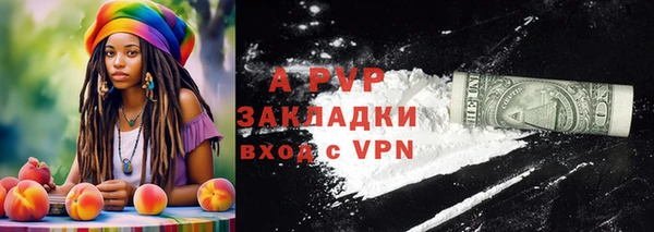 прущие грибы Михайловка