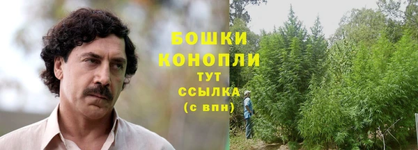 spice Михайловск