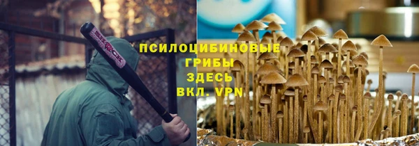 сатива Навашино