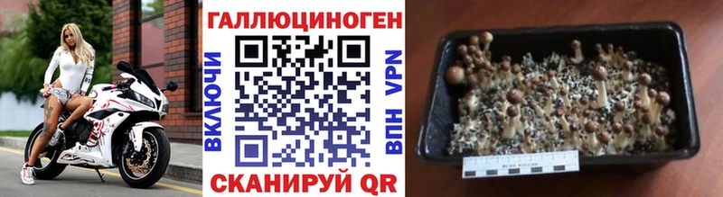 Псилоцибиновые грибы мухоморы  Райчихинск 
