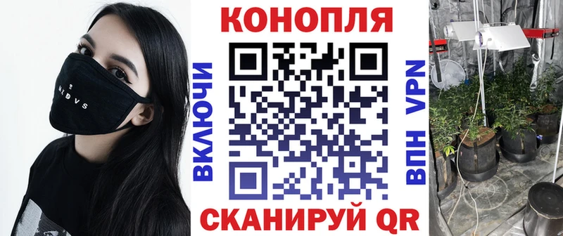 Канабис планчик  наркота  Райчихинск 